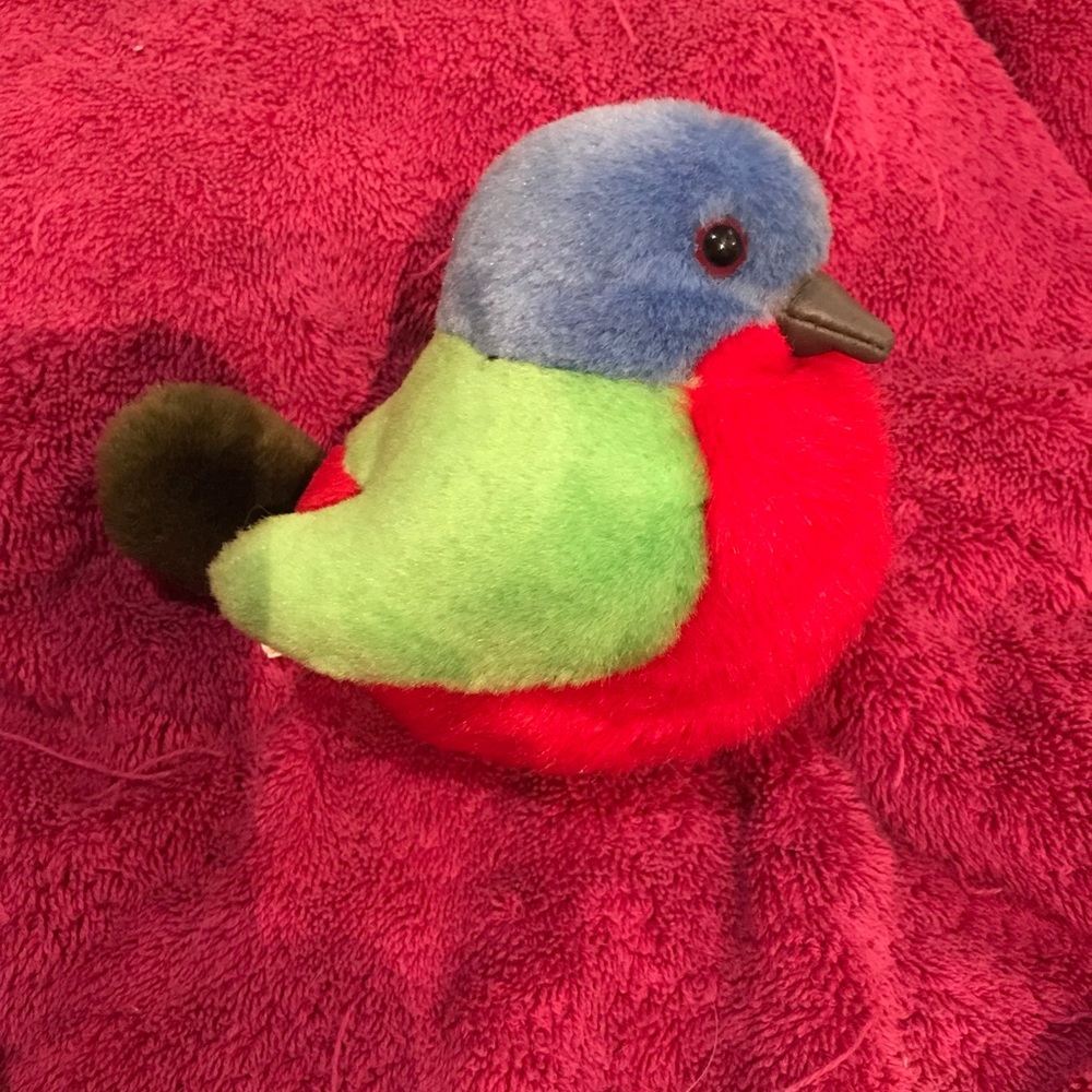 Audubon Painted Bunting Bird Bird